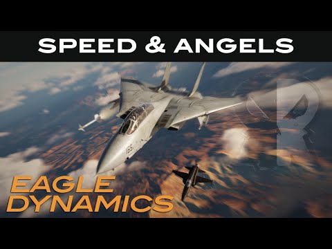 DCS: F-14B Tomcat Speed & Angels Campaign with Paco Chierici