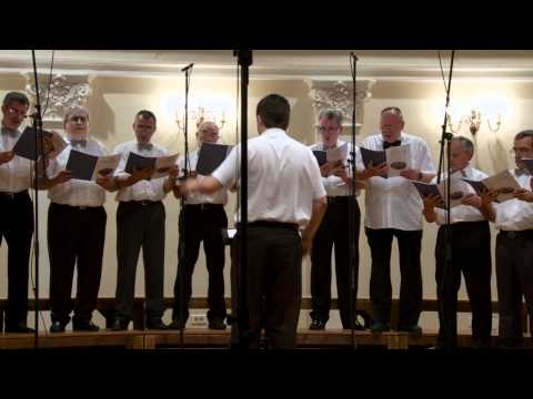 MVA IGK - Michael Haller: Tu es Petrus