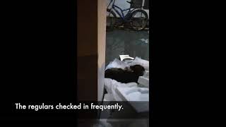 What's howling all about?