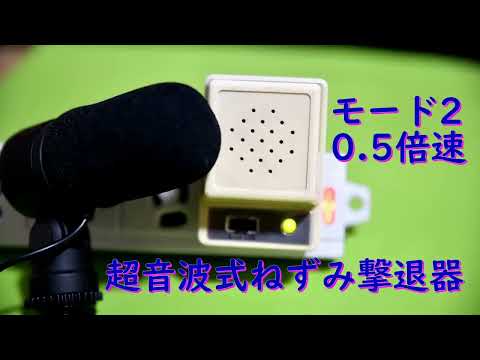 漂白剤はネズミを怖がらせますか?リーダーに従う  庭園