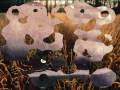Grassskirt Pleasant Dream part II - Chill out 