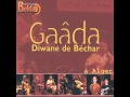 Gaâda Diwan Béchar - Sidi Mohamed Belkebir (LIVE)