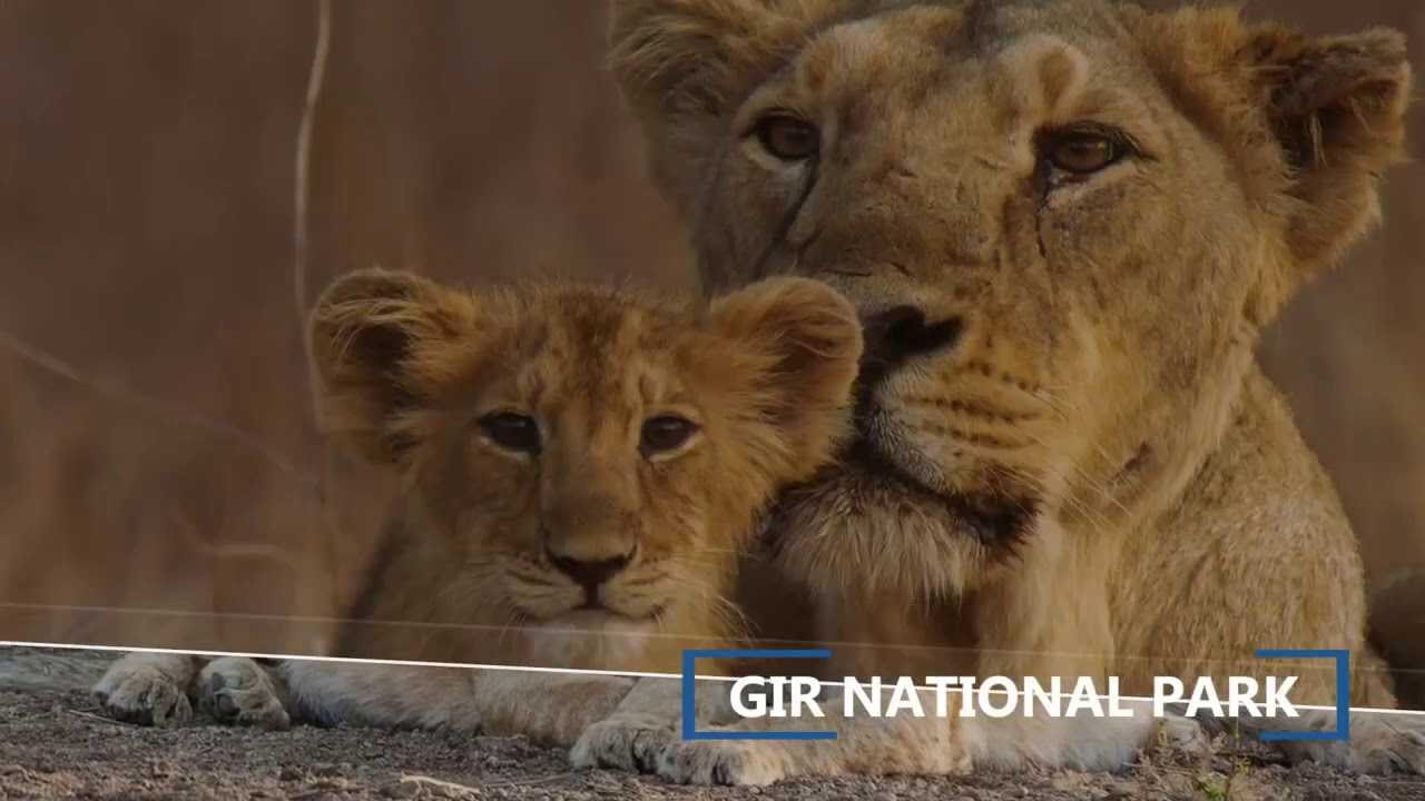 IACTS 2020   66th IACTS 2020 Annual Conference in association with ANZSCTS