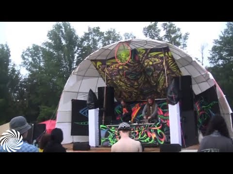 Daksinamurti Live Set @ Desiderata Festival 2010