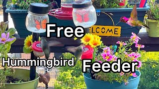 How to Make Hummingbird Feeder DIY EASY Dot *Tips on Feeding Recipe Nectar to Attract Hummingbirds