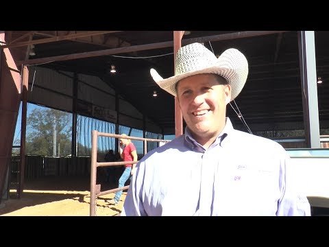 2019 SWRHA Futurity - Jarvis Anderson
