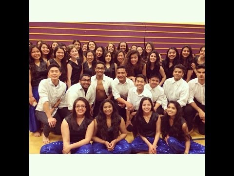 Desi (Bollywood)- JFK International Rally 2014