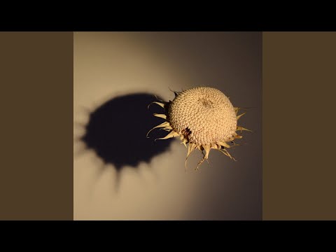 Video thumbnail for Teeth