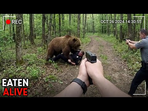 2025’s Most HORRIFYING Animal Attacks Caught On Camera!