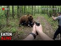 2025 S Most HORRIFYING Animal Attacks Caught On Camera