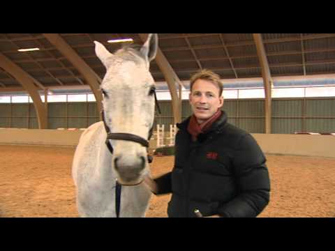 H&M We Love Horses, El Camino a Madrid - Episode 2