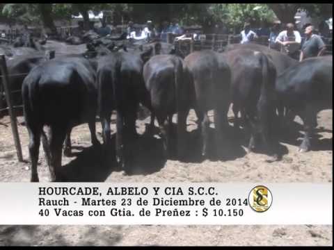 Hourcade Albelo y Cía. S.C.C. - Venta Vientres - Rauch - 23/12/2014