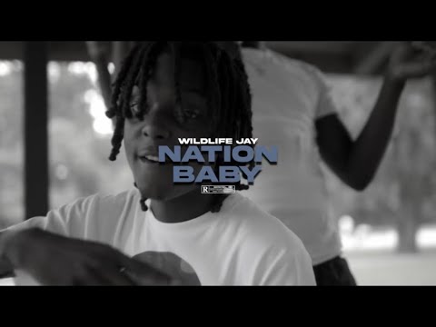 WildlifeJay - NationBaby