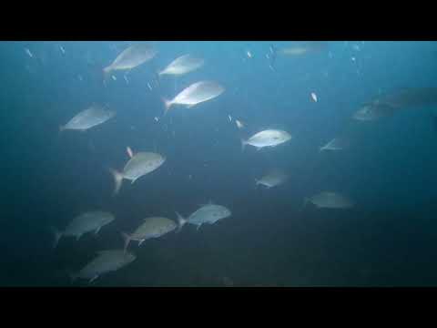 Grandtombant09042022