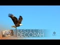 EP 708 | The Eagles of Decorah