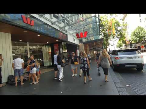 Auckland by walk and Stevie Wonder (18.01.2020.)