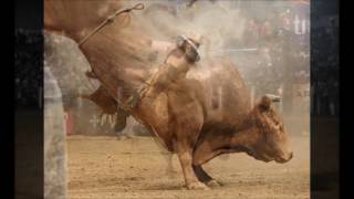 David Lee Murphy - Just don&#39;t wait around til she&#39;s leavin&#39;