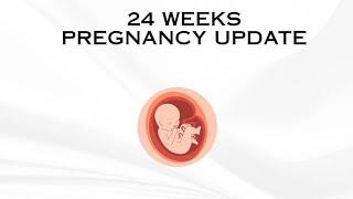 24 WEEKS PREGNANCY UPDATE