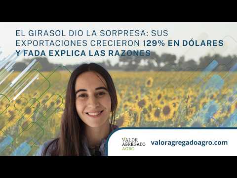 El girasol dio la sorpresa: sus exportaciones crecieron 129% en dólares y FADA explica las razones