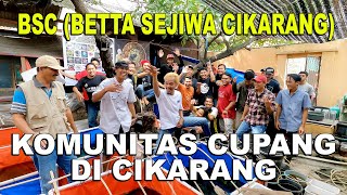 Download lagu KOMUNITAS IKAN CUPANG DI CIKARANG BSC BETTA SEJIWA CIKARANG mp3