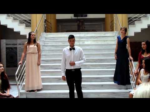 W A Mozart  -  Flautul fermecat  _  Dani Laurenţiu Nicu