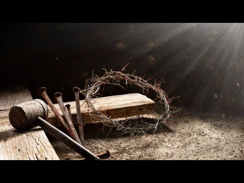 Corul de tineri Bosanci | Privind la Mielul