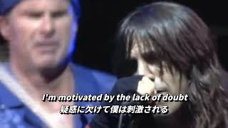 【和訳】Wet Sand ‐ Red Hot Chili Peppers (Live at Fuji Rock Festival)