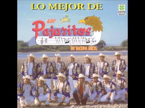 LOS PAJARITOS DE TACUPA MICH. MIX  PURO CORRIDOS PERRONES