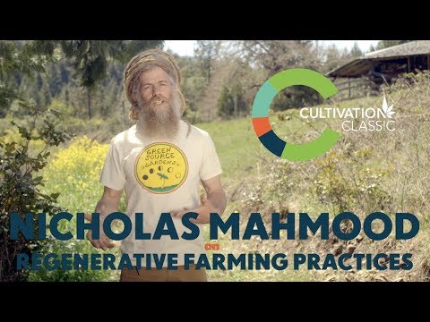 Nick Mahmood On Regenerative Farming