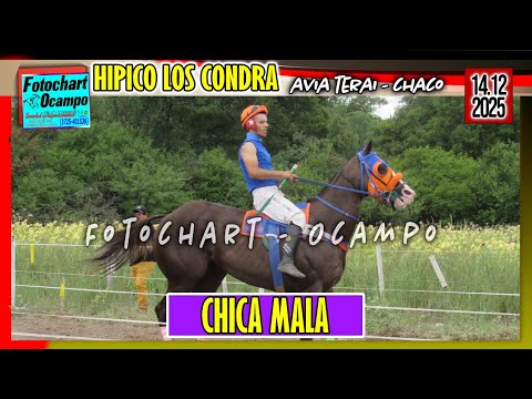 CHICA MALA Avia Terai CH 14 12 2025