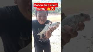 Download lagu strike ikan nilem babon sungai #umpanjitu #umpannilem #mancingliaranterbaru #mancingliarkalimantan mp3