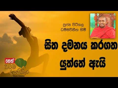 Darma Dakshina 2019.05.08 - Pitigala Dammawinitha Himi