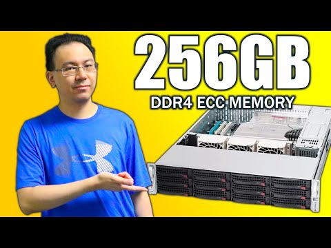 I Spent $3000 On A 2U Server Build With 256GB RAM for MariaDB - Let's Play Index Servers