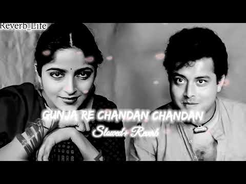 Gunja Re Chandan Chandan @Reverb_Life_486 #youtubeshorts #slowedandreverb #shortvideo #trending