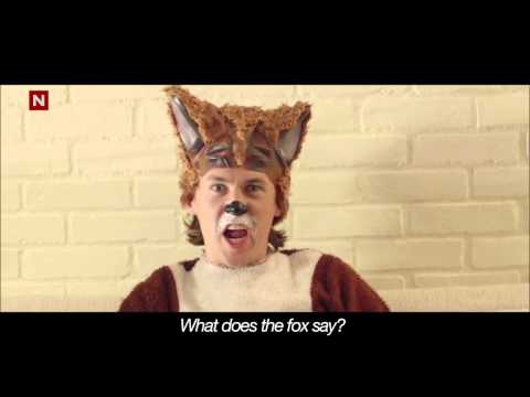 What does the hexxit fox say!!