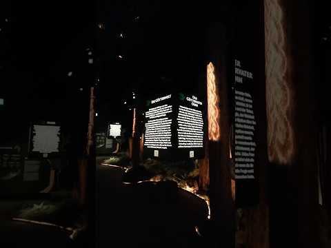 Mystischer Wikinger Wald #wikingerausstellung #vikingsimmersive #wikinger