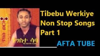 TIBEBU WERKIYE Non Stop Songs Part 1 የጥበቡ 