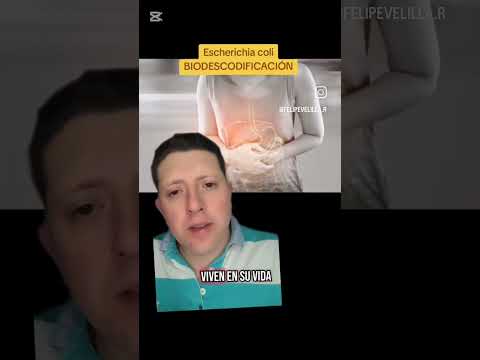 Felipe Velilla Rojas-17