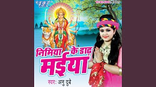 Jhule Saato Bahiniya Jhulanawa song artwork