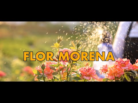 Los Felinos - Flor Morena (Video Oficial)
