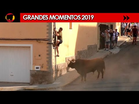 , title : '🤩 GRANDES MOMENTOS de 2019 · Tercera parte'