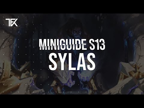 Sylas Miniguide S13 | Team Freekills