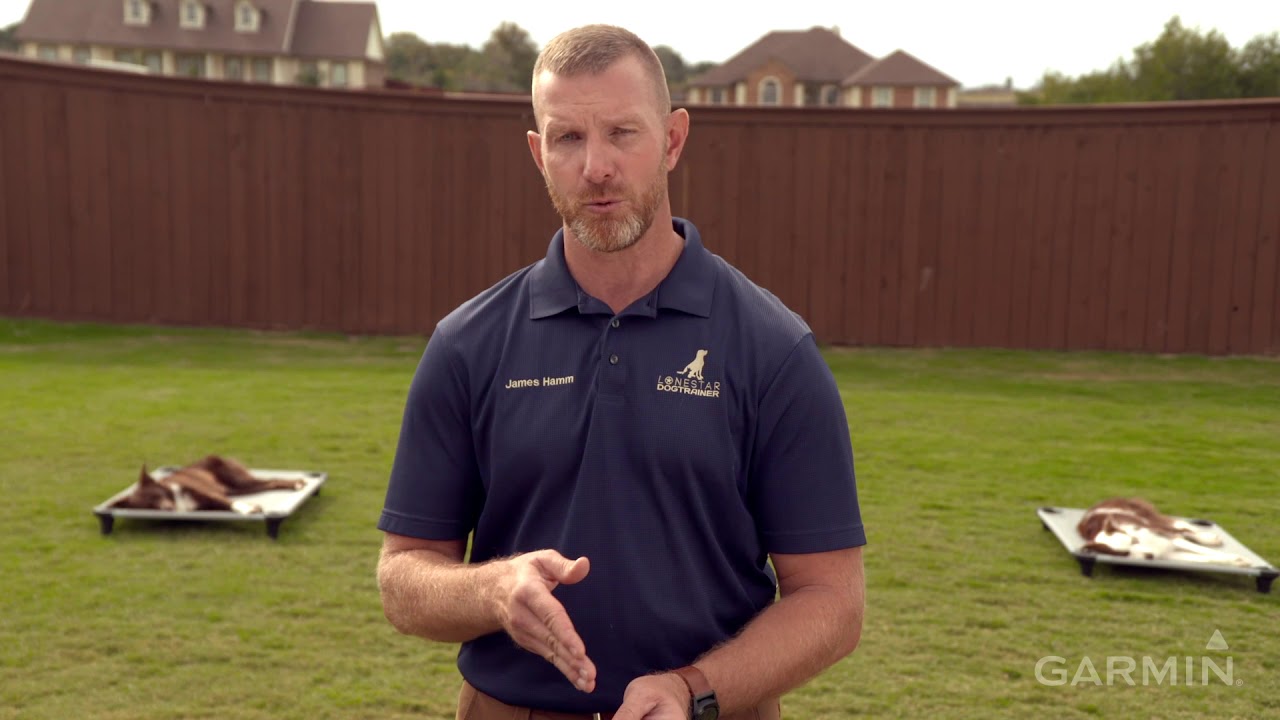 Garmin BarkLimiter™ 2: Getting Started