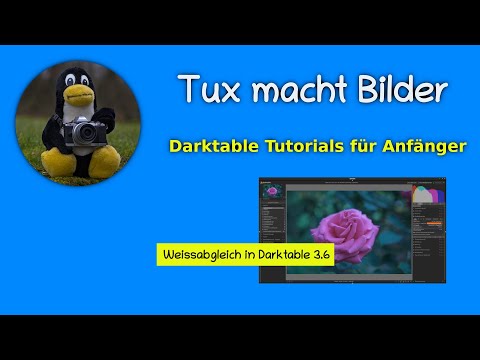 Weissabgleich in Darktable 3.6 [Tutorial deutsch]
