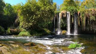 MUSICA RELAXANTE QUE ACALMA A ALMA