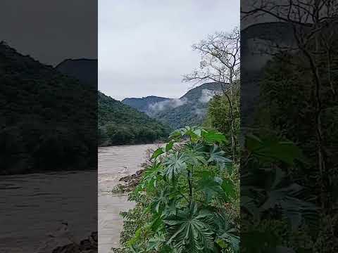 apesar das fortes chuvas o rio das antas não invadiu a ponte de ferro