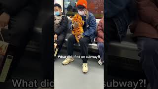 Download lagu A baby tiger??! #baby #costume #babycostume #cute mp3