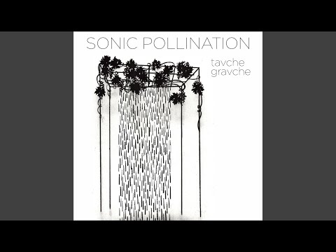 Pushteno (Freedom Dance)