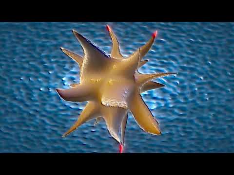 Video thumbnail for Zeroes And Ones (Aphex Twin Reconstruction 2 Mix)