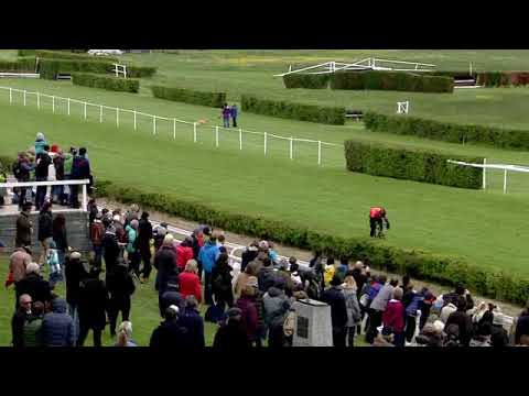 Dielsdorf/05.05.2019/Match Race - Trabrennpferd gegen Radfahrer